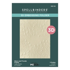 Spellbinders Embossing Folder - Dina Wakley / Stars and Fronds Frame (US-A2)